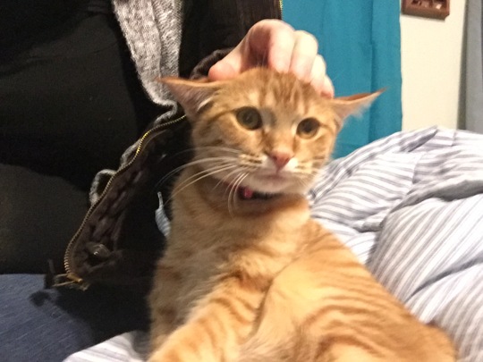 The force is strong with this one