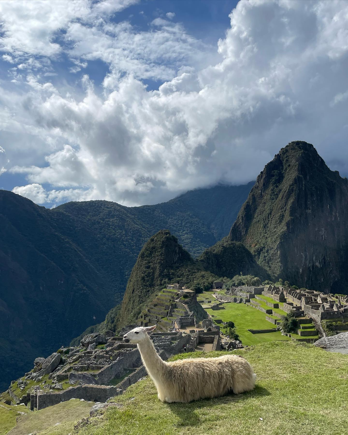 <br> @sunflowersofi_1