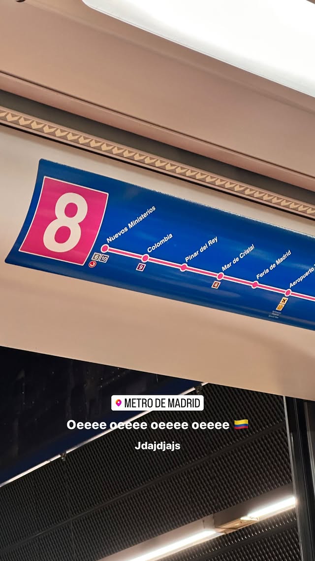 🇪🇸<br> @sunflowersofi_1