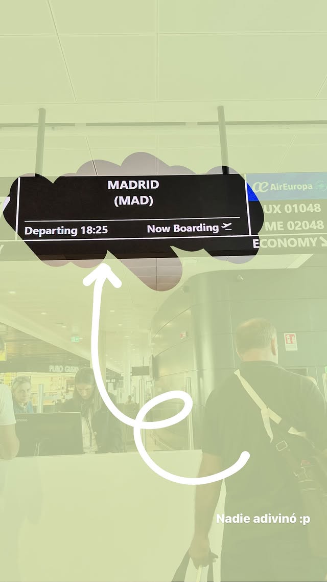 🇪🇸<br> @sunflowersofi_1