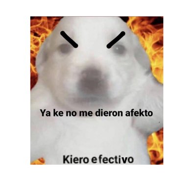 #NuevaFotoDePerfil https://t.co/Ym3seNM8Dt