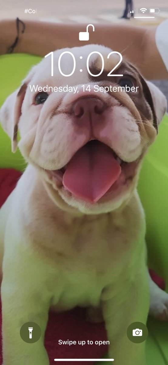 @Estefayepesc https://t.co/k4MVbFhNpD