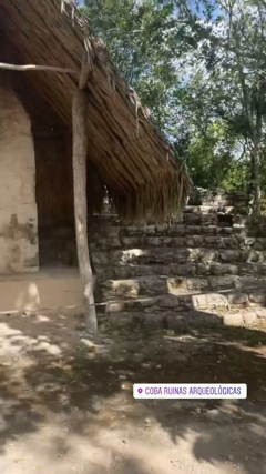 🇲🇽🌮<br> @sunflowersofi_1