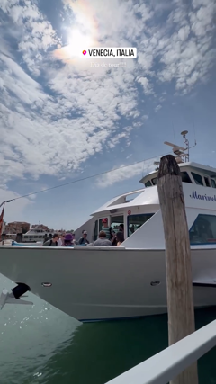 🇮🇹🍝<br> @sunflowersofi_1