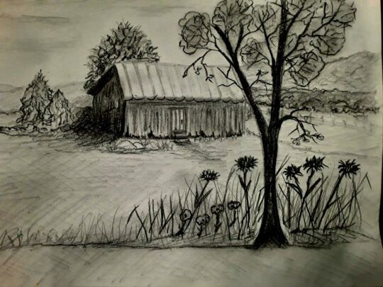 Old Shed 9X12 charcoal sketch