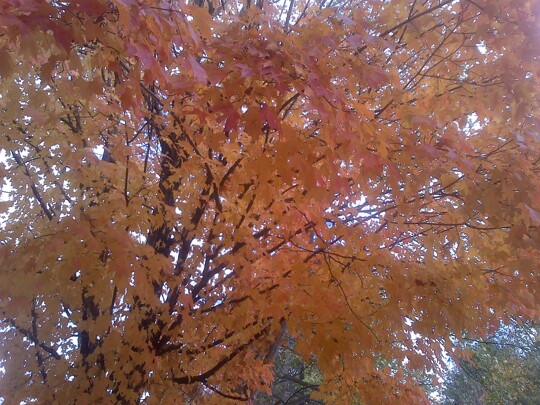 #NewCover_paintboxxx