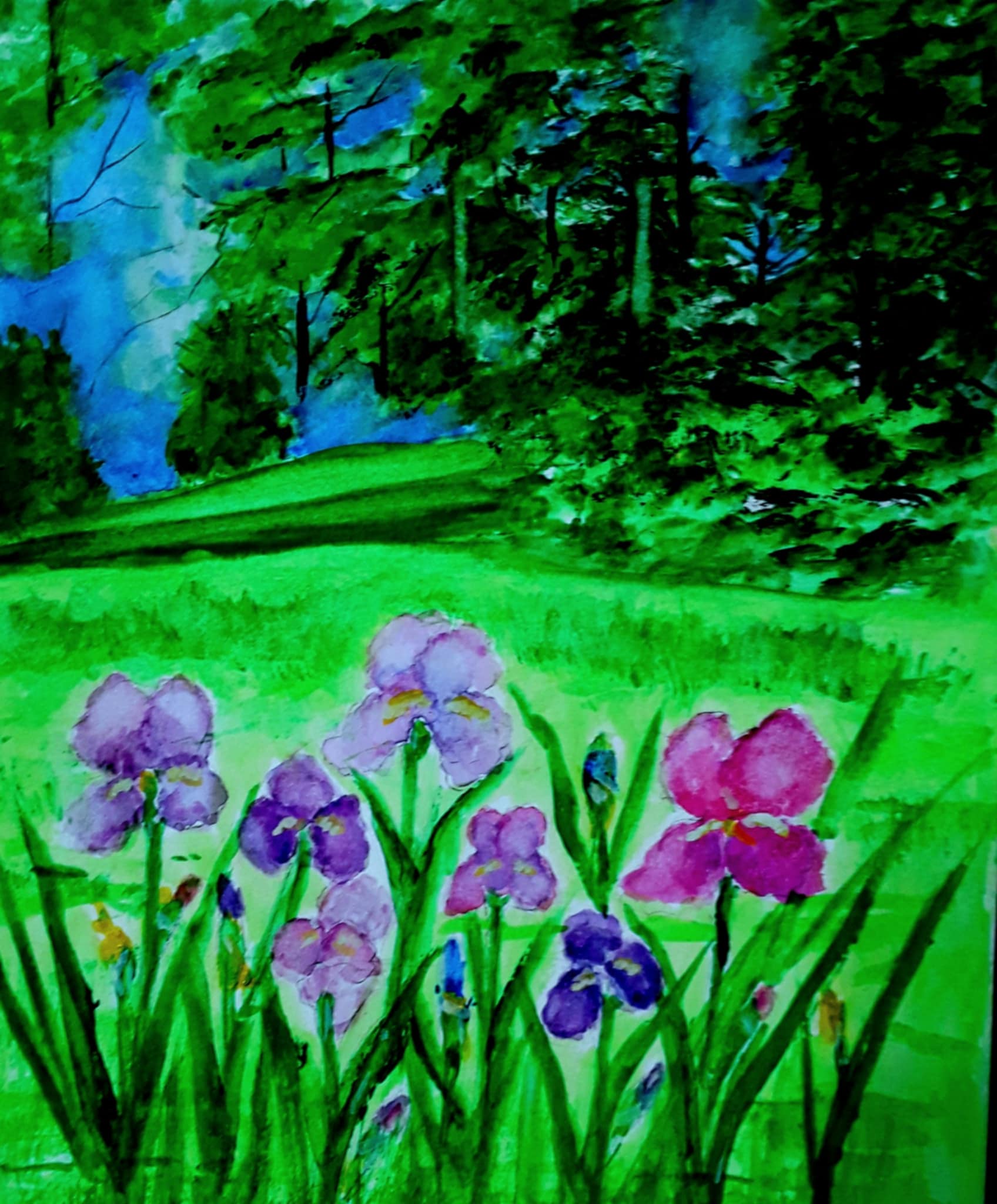 Backyard with Irises