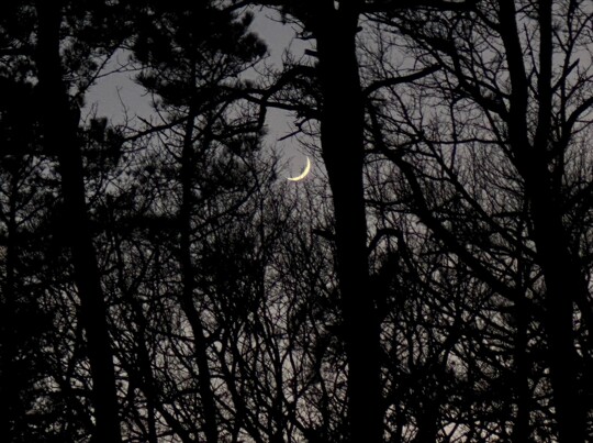 ⠀⠀⠀⠀⠀⠀⠀⠀⠀ Moments ago I captured the Moon. You can too, if you act real soon. ⠀⠀⠀⠀⠀⠀⠀⠀⠀ That sickle in the sky We call waxing crescent. ⠀⠀⠀⠀⠀⠀⠀⠀⠀ Behold evening twilight. Our Moon — luminescent. ⠀⠀⠀⠀⠀⠀⠀⠀⠀ [iPhone 14 Pro; Saturday, January 13, 2024; 17:10 ET; Handheld] neildegrassetyson neildegrassetyson  https://www.instagram.com/p/C2DqOfOgHRN/