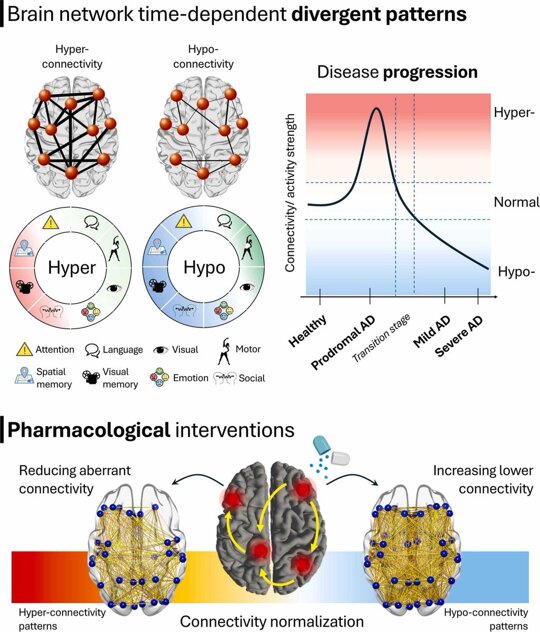 Targeting brain connectivity in Alzheimer's disease with repurposed drugs

"Common FDA-approved drugs show effects on brain connectivity... Brain networks offer a novel path for repurposing FDA-approved drugs in AD."


https://sciencedirect.com/science/article/pii/S1568163725003472
