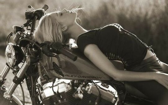 Enjoyable but relaxing 
    weekend to everyone 🏍️*&bull;✌︎.&bull;*♡ https://t.co/JOtqzi21tZ

@Pandora16270480