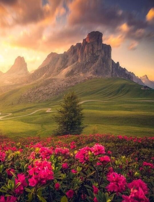 🕊🌺 Serenity and Peace 🌺🕊 https://t.co/XPFukKp7oS

@_cristianoit
