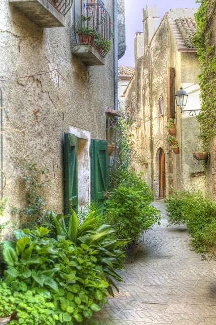 Maremma #Toscana https://t.co/eJp7WaXvlq

@moraimauy