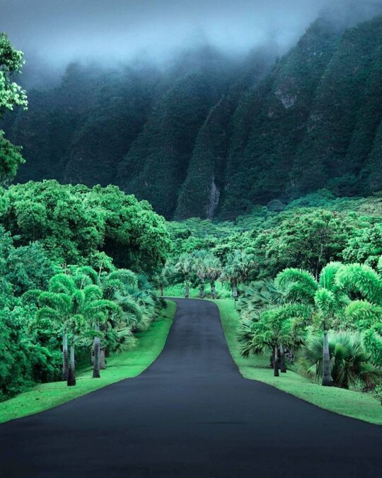 Hawaii https://t.co/mGDxnTPyMr

@anglena_jolly