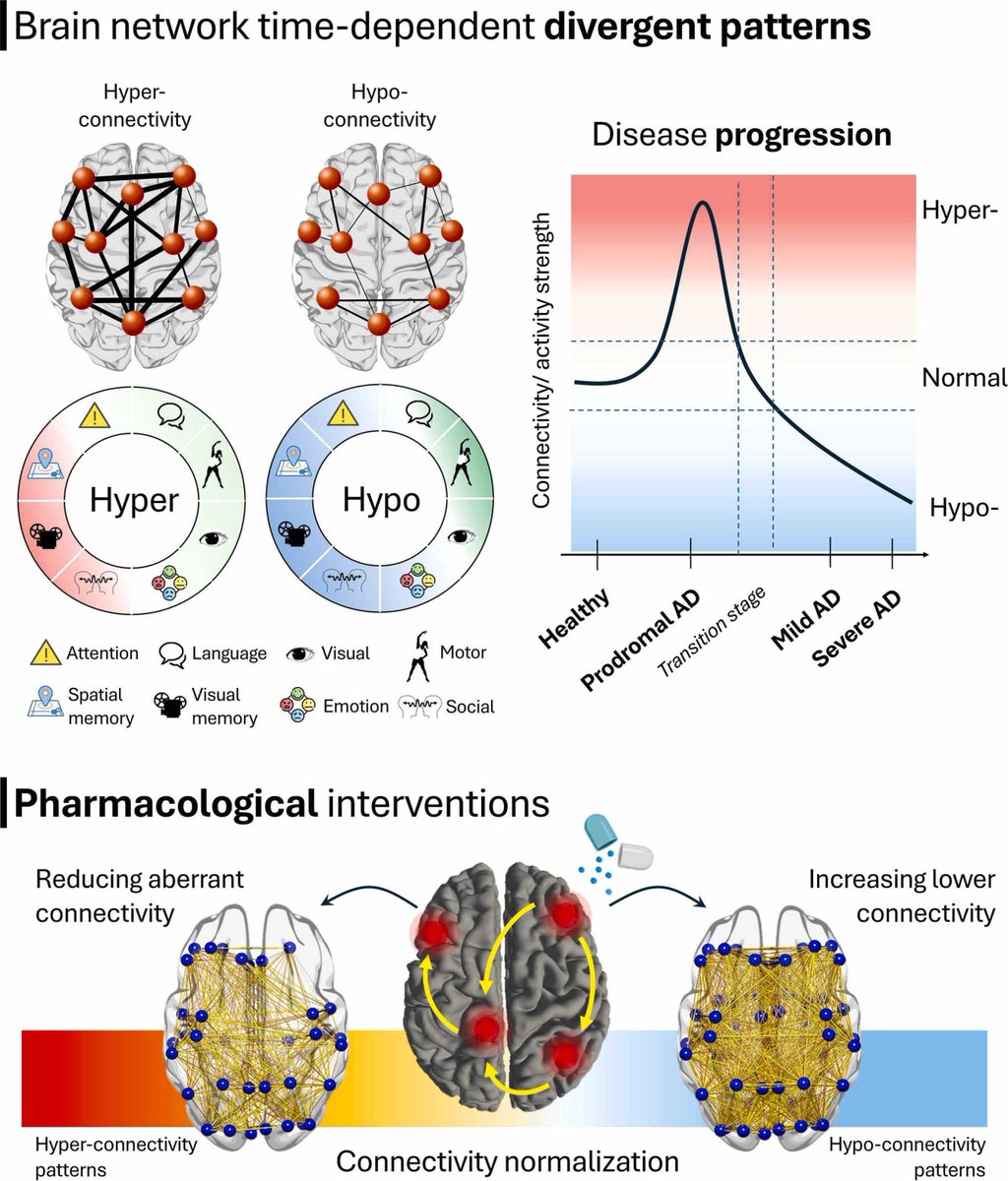Targeting brain connectivity in Alzheimer's disease with repurposed drugs

"Common FDA-approved drugs show effects on brain connectivity... Brain networks offer a novel path for repurposing FDA-approved drugs in AD."


https://sciencedirect.com/science/article/pii/S1568163725003472
