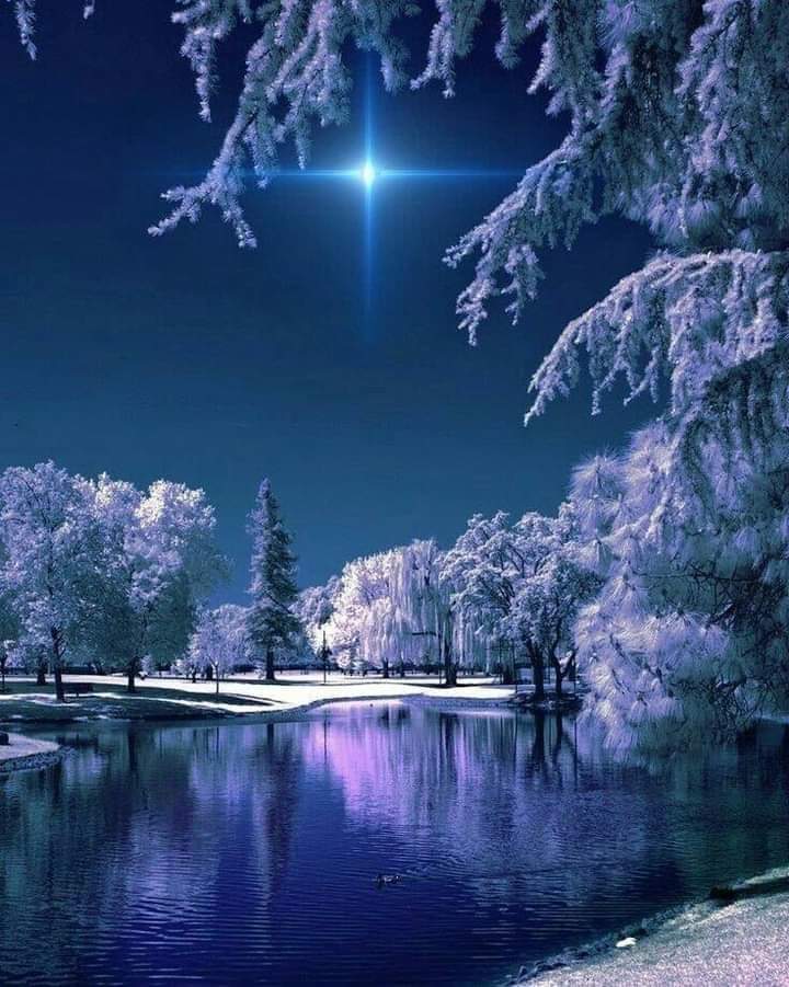 good evening💫✨🌟 https://t.co/yiC0rNRVob

@Shuhua19760515