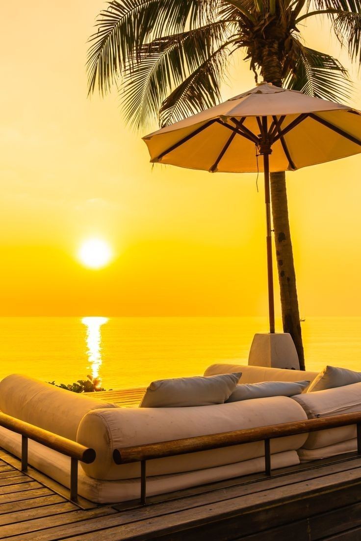 💛🌴💛 https://t.co/MvgFdv03eP

@Chloe95898443