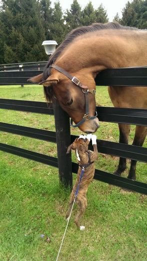 Friendship, kindness, love, no racism.

        ☆———༻ ♥️ ༻———☆ https://t.co/tRuRkqICA8

@Pandora16270480