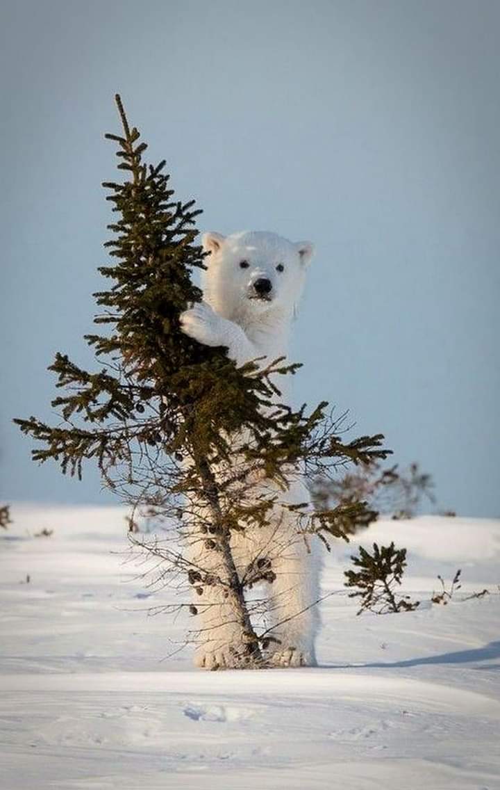 _🌿 Good morning 🥰❤️❄️ https://t.co/ZwYLbbOnvO

@Krystyn31197823