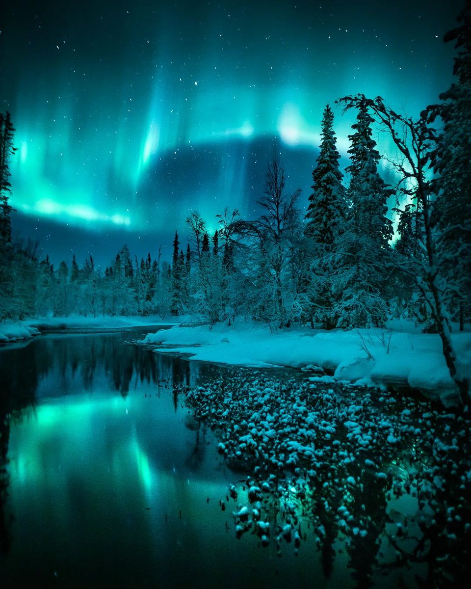 Good Night 💫 https://t.co/huhp5hyMSO

@jacolek1981