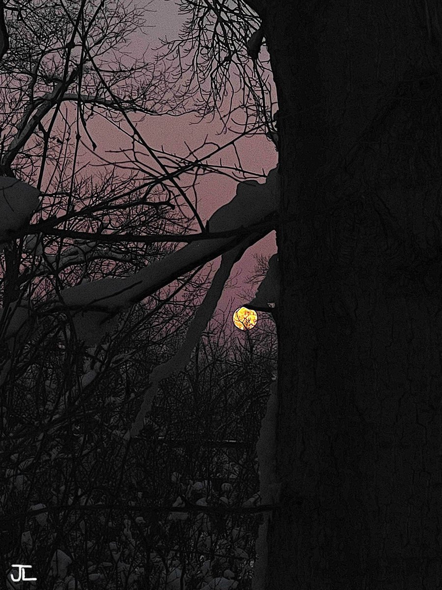 The Full Wolf Moon 🌝 🐺 https://t.co/v9OoFzNFQz

@themoonlovepic