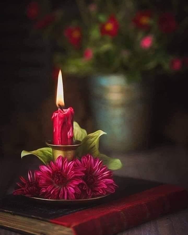 Nite Nite friends 

✨⚡️💥☄️🌙🌈⭐️🔥⭐️✨⚡️ https://t.co/xYoluwK5fr

@InsatiableVVIP