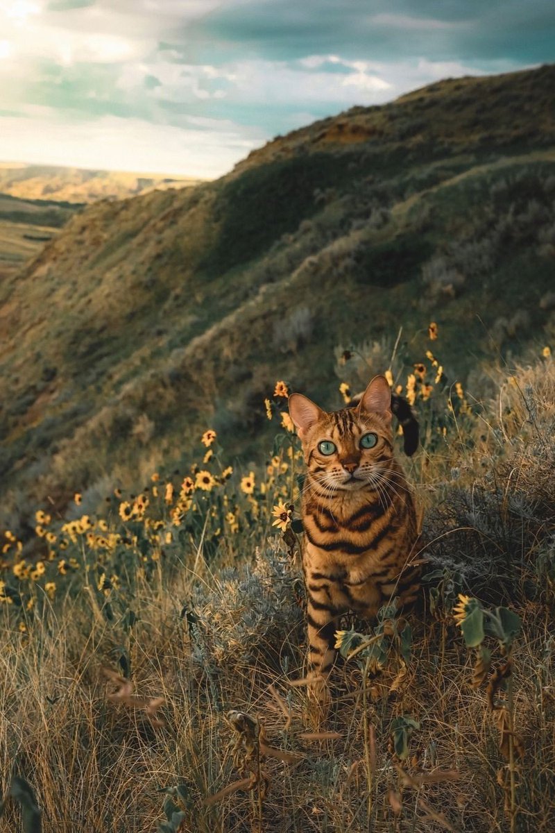 Happy Birthday
My dear friend koborin
β π·πΈπ·πΈ
πΈπ·πΈπ·πΈ
Λπ·πΈπ·πΈπ·
( Λ α΅ Λπ·πΈπ·
γ½ γ€οΌΌ οΌ
UU / π
πππππ₯³ππ°
https://pin.it/BLEZDrK
@KoborinX2
@batting_love https://t.co/PytC0LHN7A
@SusiCici1