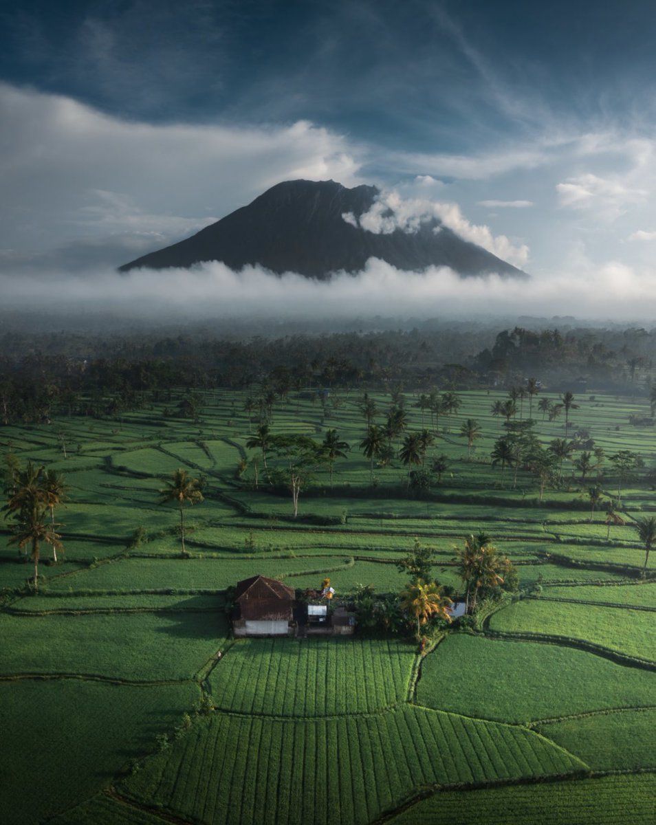 Holy hell - just acquired a Hammond https://t.co/8evRzQBR0i

@TyRobb2