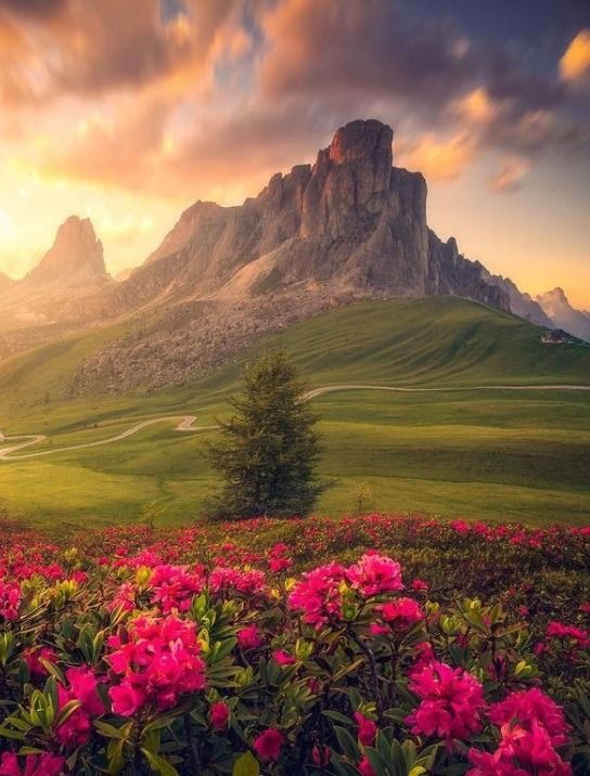 🕊🌺 Serenity and Peace 🌺🕊 https://t.co/XPFukKp7oS

@_cristianoit