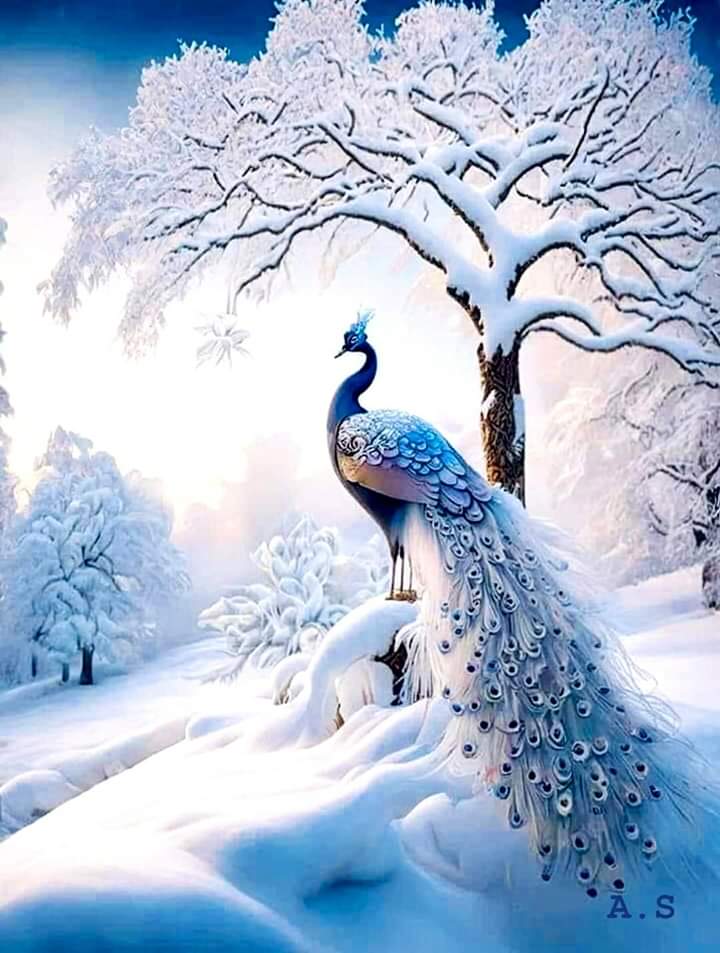 ❄ GOOD WEDNESDAY ❄💙❄
#nature #wildlifephotography #wildlife https://t.co/HsTBnXv2RY

@Sari_Friends1