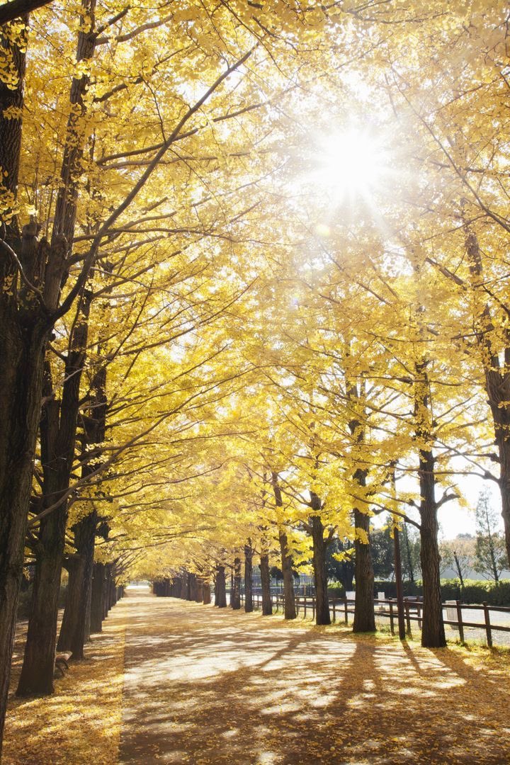 Sun Rays https://t.co/oV7OgwEYtF

@helena_mar19