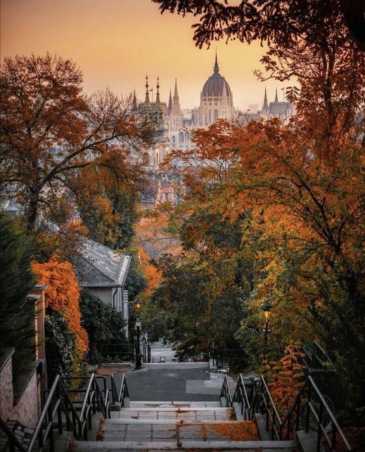 Good morning,have a wonderful day 🌸

(Hungary,📷Pinterest) https://t.co/M7KhbIIikJ

@helena_mar19