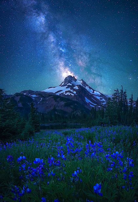 @WhiteRoses_11 GN have a peaceful sleep 💤🦋💦❄️💤🦋💦💤💙💤💙💙💙💙💙 https://t.co/ix7EpB0EPb

@bolklabazadhan