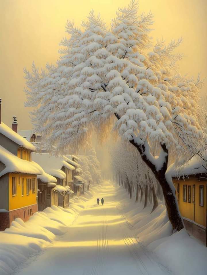 ~❄️💛❄️~ 

   _____ Calm  afternoon ____ https://t.co/ShSRjOlPRm

@Krystyn31197823