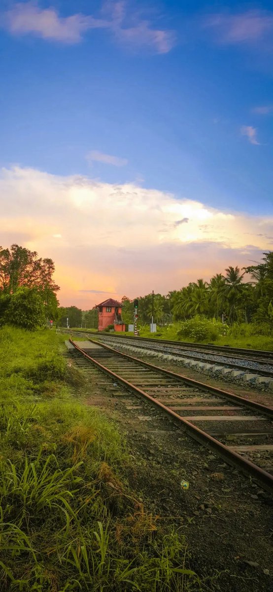 Good night🌿 https://t.co/474H1ke0Dt

@HYF98334204