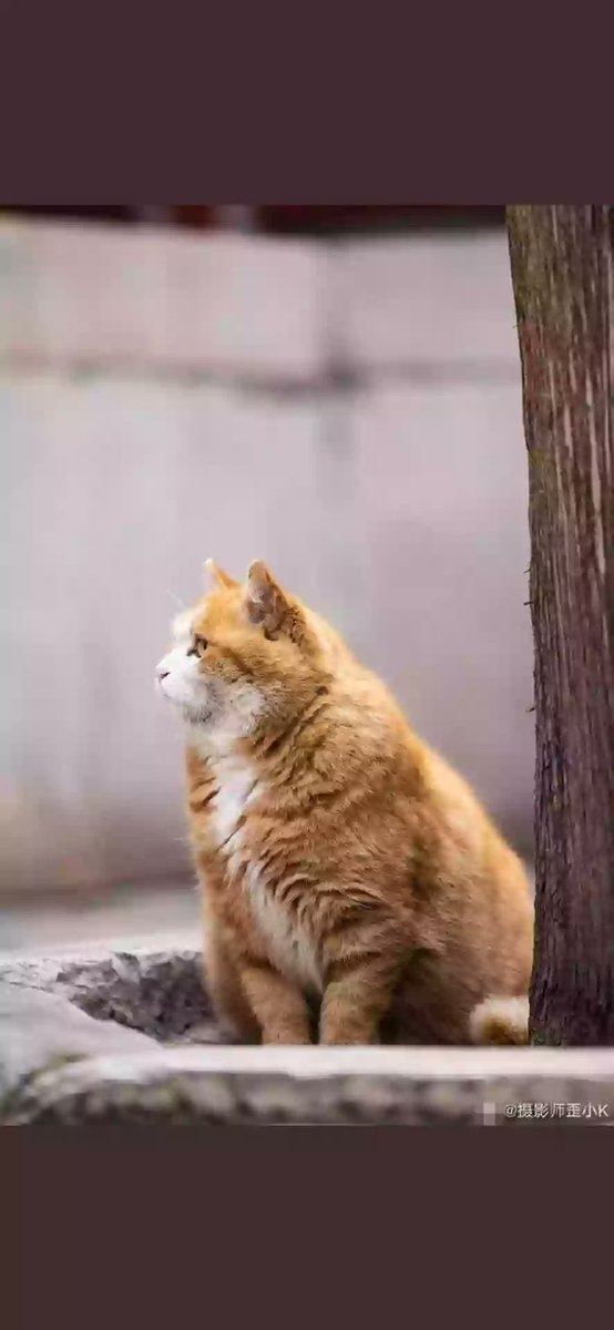 💛🐱❄❄ https://t.co/btZ1gLGHEk

@Karim68832878