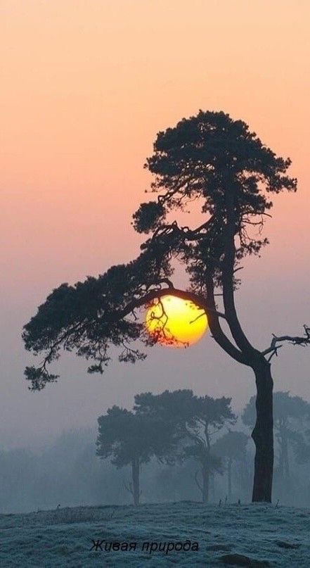 ✰.*•❤︎.•*✯.*•☾✵
         Good evening friends 
                            ✰.•*❤︎.*•✯.•*☾✵ https://t.co/WG7wCoCkqO

@Pandora16270480