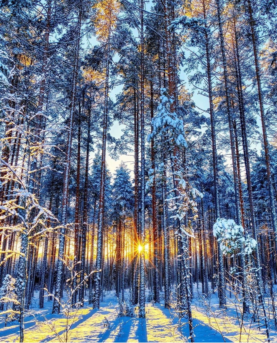 Good morning ☀️ https://t.co/xzRSC6sjQ2

@Daniella_C1804