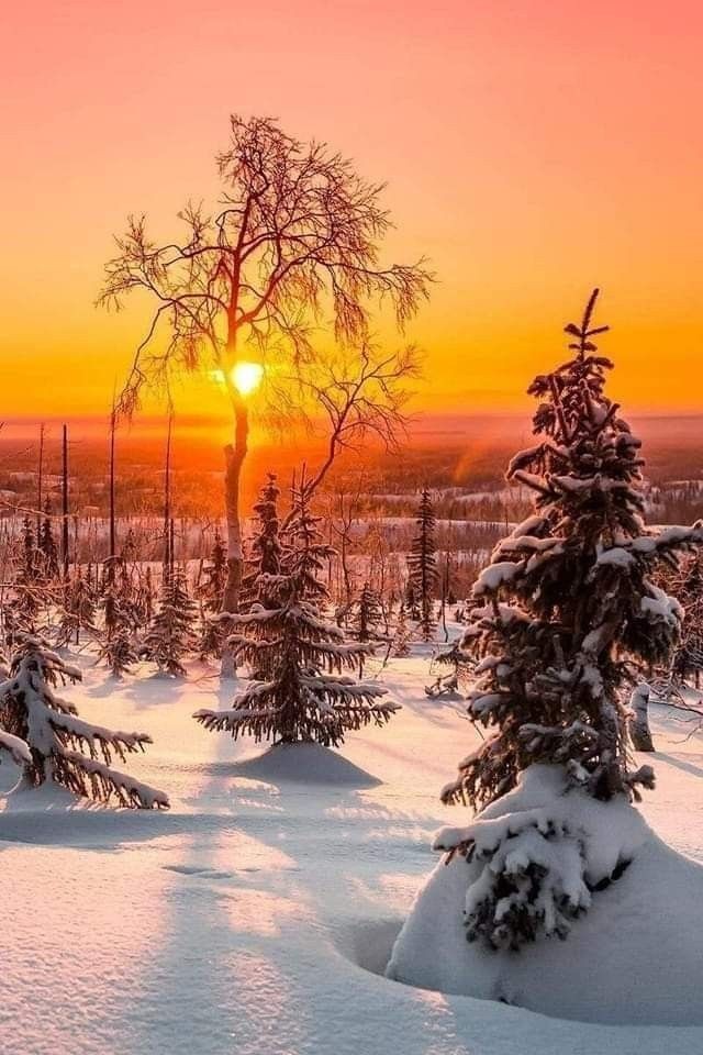 🧡💛🧡 #Beautiful 🧡💛🧡 https://t.co/4y39pSI1UB

@ninscrystal