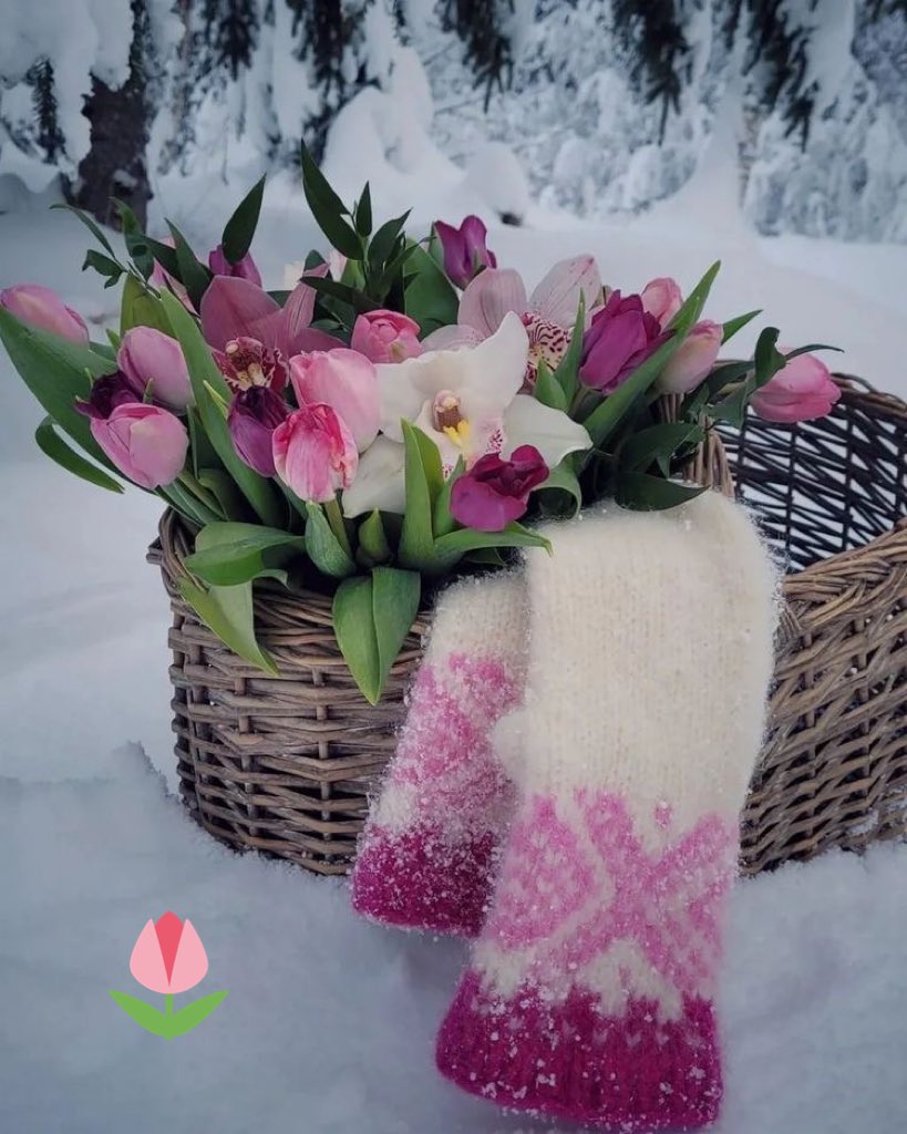 @HeikkiOjala 🌷❄️☕️❄️🌷 Good morning dear Heikiki 💞❄️🌷☕️ in 🌷❄️☕️beautiful Finland 🇫🇮 💞Enjoy In your friday 💞🇫🇮 staysafe take care 💞🌷 fog 🌫️ 🌫️ 5/10c ❄️🌫️☕️🌷 A big hugs from Wendy and me in Switzerland 🇨🇭 🌷☕️❄️🌷☕️❄️🌷☕️❄️💞🐈🐈💞💞🐈🐈💞💞🐈💞 https://t.co/CguRR56lsG

@nico_gaia