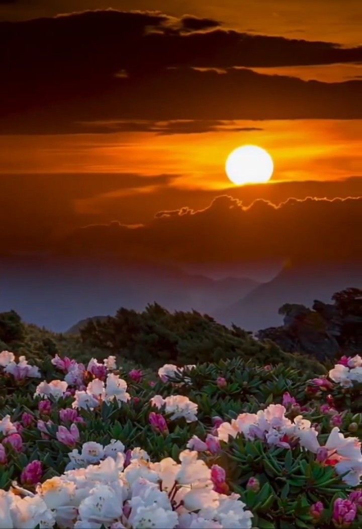 Passez une douce soirée 🌙
Prenez soin de vous 🙏🏼

Warm evening for all ❤️ https://t.co/zZhelRtyKf

@Ouly05404755