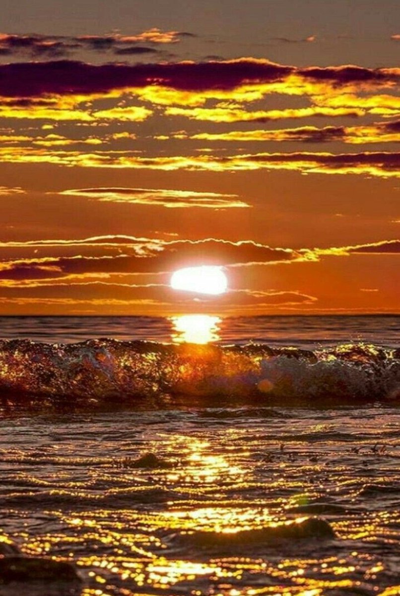 Good morning 🌿☀️🌿 https://t.co/J0dPGeRx26

@MHN_Partages