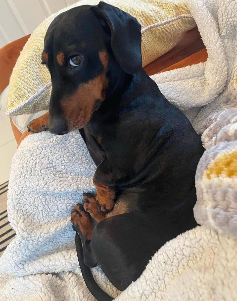 I'm kinda shy ❤️❤️❤️ https://t.co/2JuPAO87T1

@udontownme_T