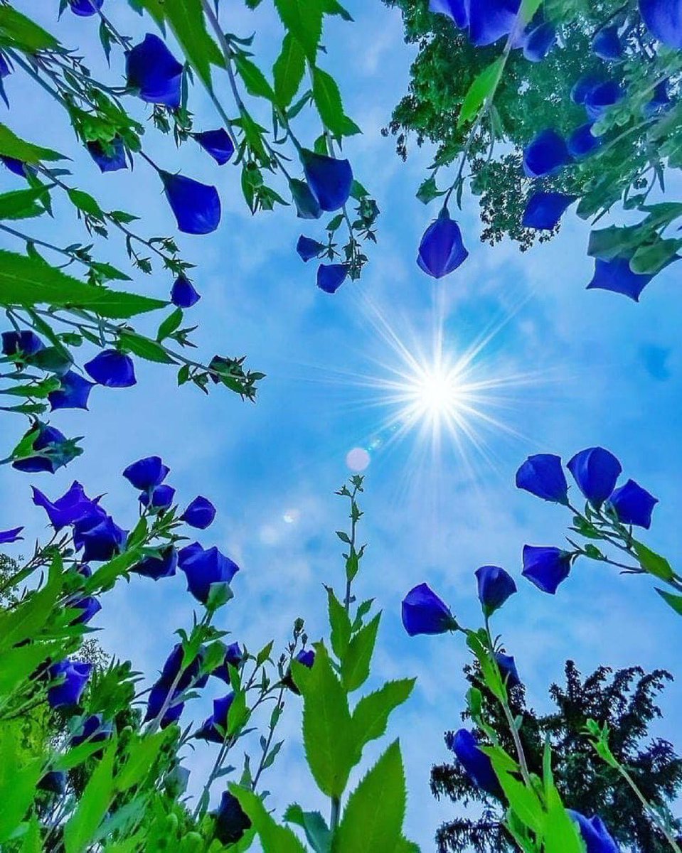 💙💙💙 https://t.co/4zKX3q0PHt

@Vestkysta