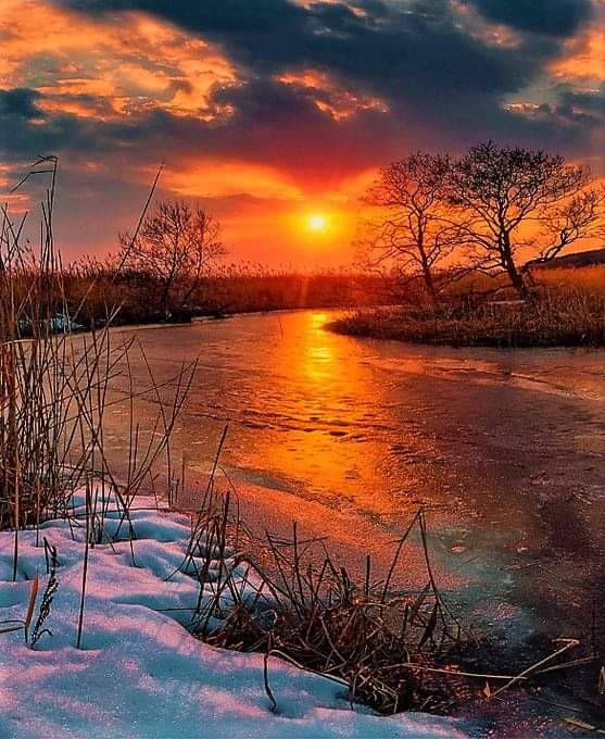 🧡 HAPPY DAY 🧡❄🧡
#naturelovers #nature #NatureBeauty https://t.co/dsVCzFUqvi

@Sari_Friends1