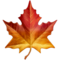 🍁