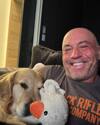 Snuggled up for movie night with my buddy @marshallmaerogan to watch “Last Voyage Of The Demeter” and Marshall started having nightmares during the scary parts.<br> @joerogan