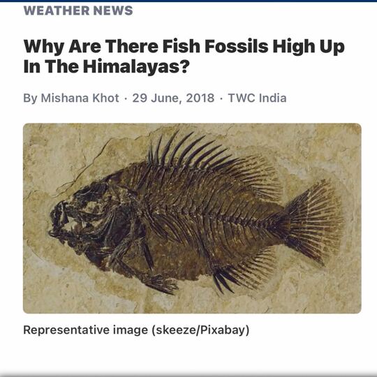 The Himalayas used to be the bottom of an ocean. Pretty fucking wild. When the world looks basically the same way every day it’s hard to imagine how much change it’s gone through in its history. Knowing that one of the highest peaks on earth used to be under the sea is a real mind bender. @joerogan