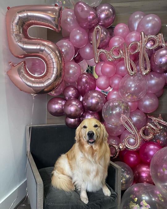 Happy Belated Birthday to the best boy ever! @marshallmaerogan!
5 trips around the sun for my favorite dog! @joerogan