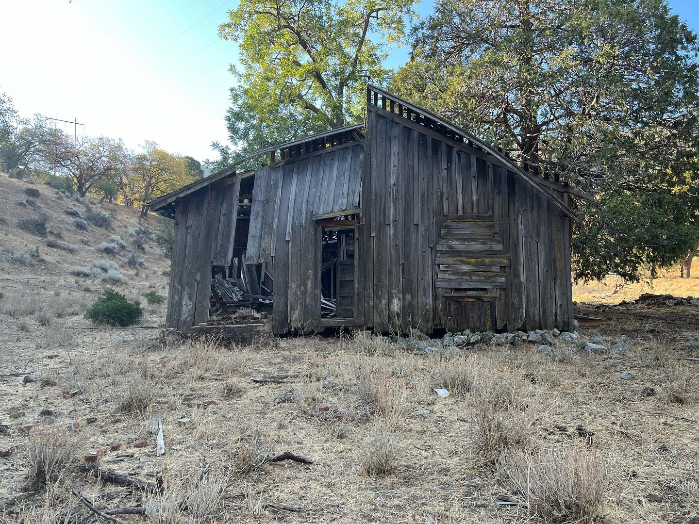 This is an old abandoned house that we found in the Tehachapi mountains. It’s probably more than a hundred years old, and the earth is slowly reclaiming it. Gravity is pulling it towards the dirt while the sun, the rain and the snow break down the wood, molecule by molecule. Nature is in no rush. The result is inevitable.
It made me think of the people that lived there carving out a hard scrabble life with no electricity.
One thing that’s weird as you get older is that the way you view time opens up. Lengths of time that used to seem like forever seem more tangible every year. I’m 54 now. When I think about 100 years ago it makes sense. It’s not abstract. I can imagine it, and the reality is that, relatively speaking, it’s not that long ago.
I’ve been thinking about this building almost every day since I took these pictures.<br> @joerogan