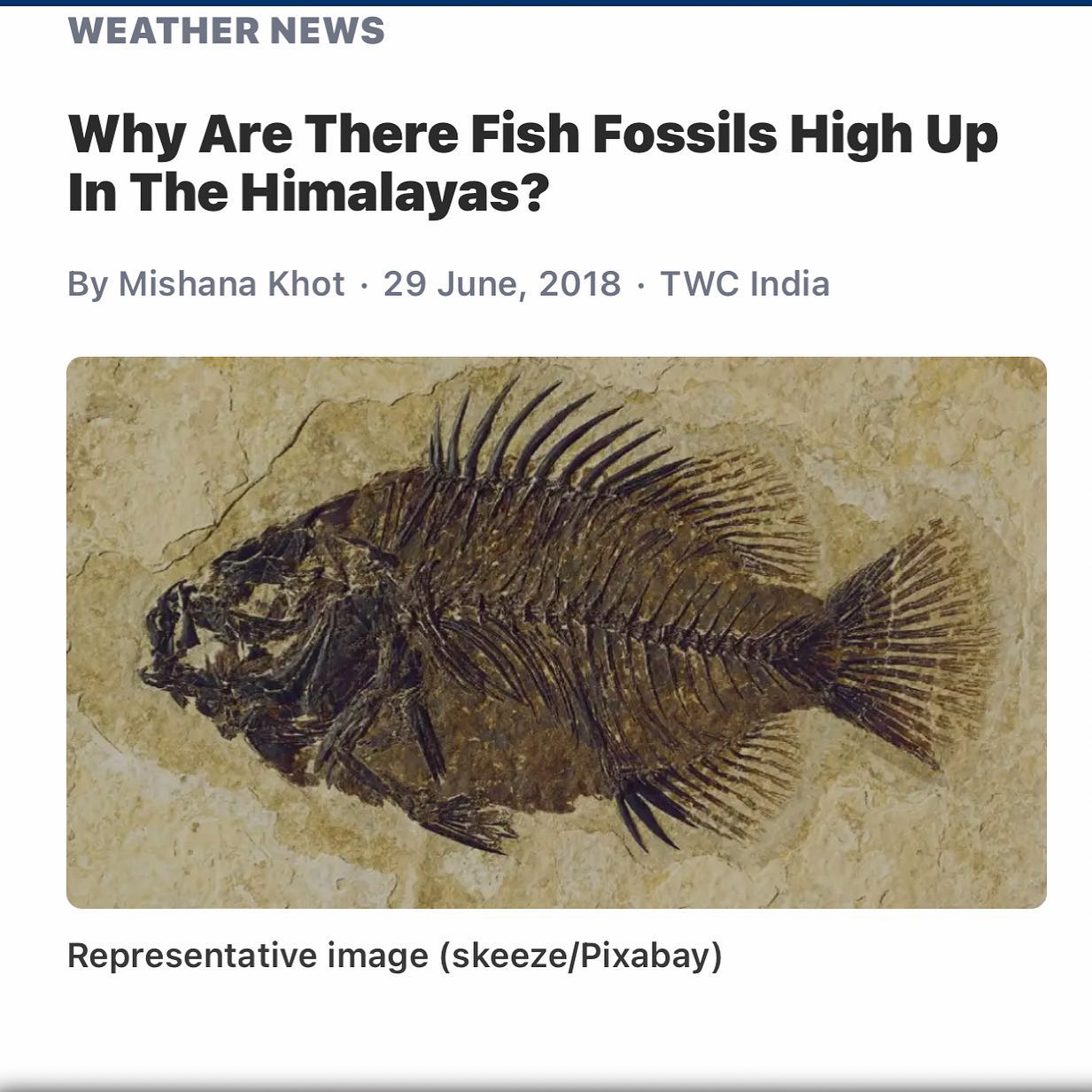 The Himalayas used to be the bottom of an ocean. Pretty fucking wild. When the world looks basically the same way every day it’s hard to imagine how much change it’s gone through in its history. Knowing that one of the highest peaks on earth used to be under the sea is a real mind bender.  @joerogan